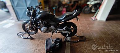 Honda Hornet 
