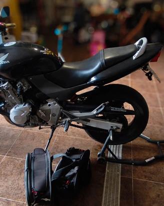 Honda Hornet 
