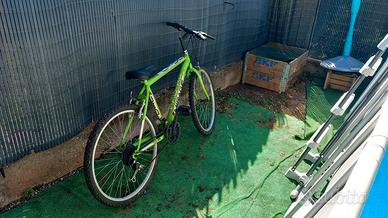 bicicletta uomo