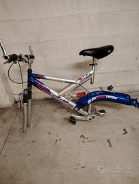 bicicletta