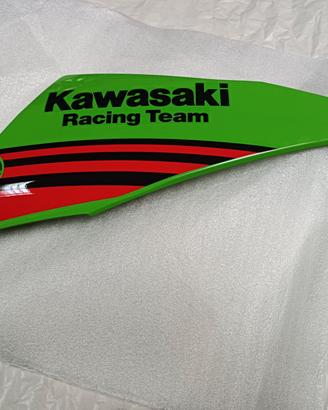 Puntale carena Kawasaki Ninja 650 2020