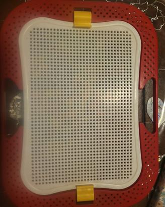 gioco dei chiodini con piccolo contenitore 