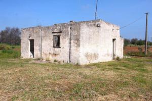 RUSTICO A CAROVIGNO