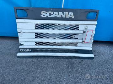 Calandra scania 164