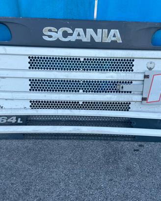 Calandra scania 164