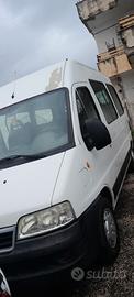 Fiat ducato  diesel 9 posti con sponda posteriore 