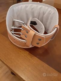 Cintura  pesistica 