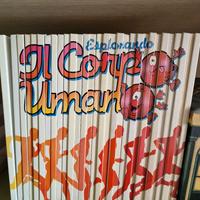 esplorando il corpo umano