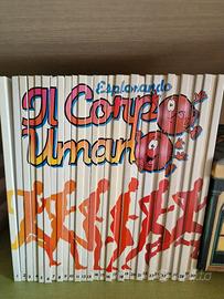 esplorando il corpo umano