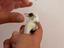 Immagine 4