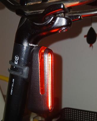 luce posteriore professionale per bicicletta