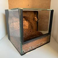 Terrario con sfondo 3D