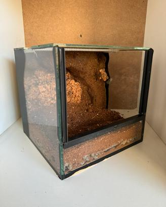 Terrario con sfondo 3D