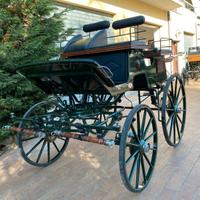 Carrozza Spider (026)