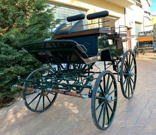 Carrozza Spider (026)