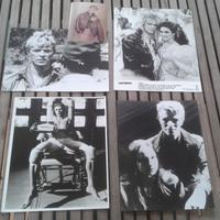 DAVID BOWIE da Collezione