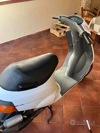 smembro zip visto e piciuto