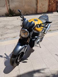 vendersi moto x11 anno 2000