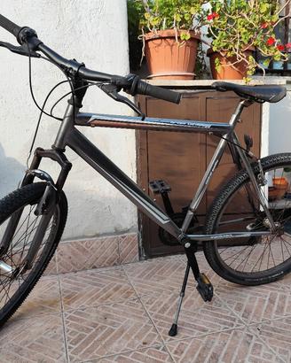 MTB taglia 59