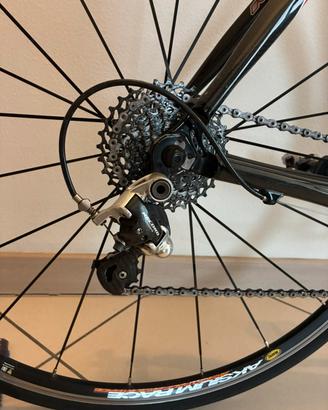 Bici da corsa