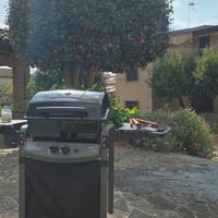 Barbecue sochef a gas