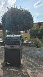 Barbecue sochef a gas