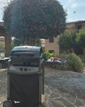 Barbecue sochef a gas