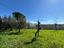 Immagine 10
