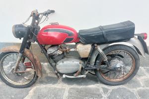 STORNELLO 125 SCRAMBLER MOTO GUZZI