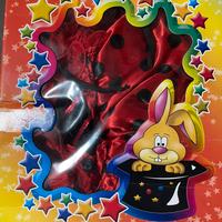 Vestito carnevale coccinella bimba