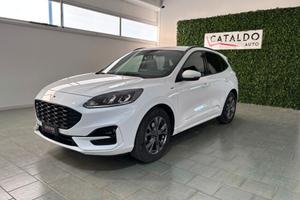Ford Kuga 1.5 EcoBlue 120 CV 2WD ST-Line