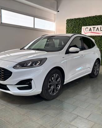 Ford Kuga 1.5 EcoBlue 120 CV 2WD ST-Line