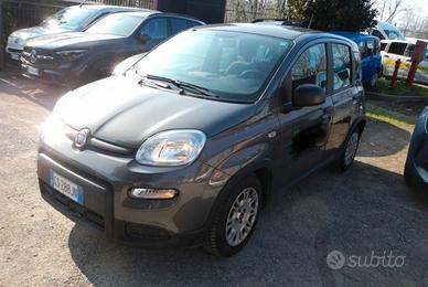 Fiat Panda 1.0 FireFly Hybrid S&S 70 CV – pari al 