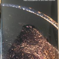 Raku: a legacy of the Japanese tea ceramics