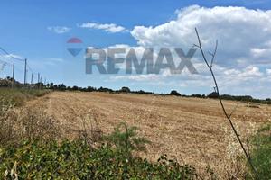 Terreno - Noto