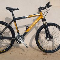 mtb 26" Colledani 