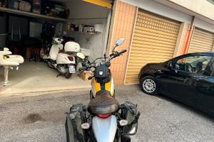 Ducati scrambler 800
