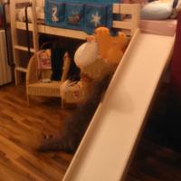 Letto rialzato con scivolo