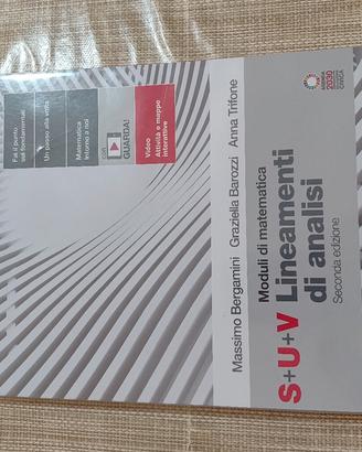 S+U+V Lineamenti di analisi
