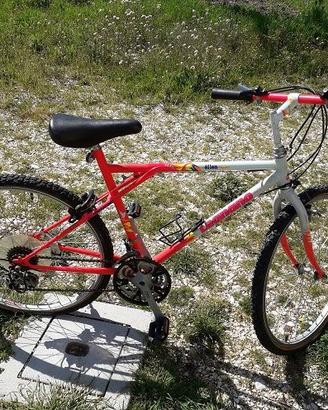 Mountain Bike Legnano ruote 26”