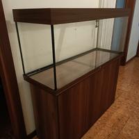 Acquario marino 