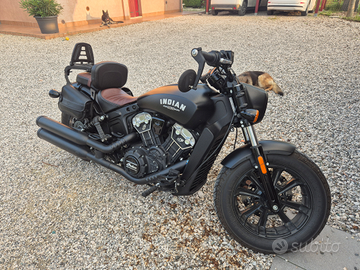 Indian scout bobber