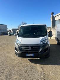Fiat Ducato 2020 passo medio 2.3 MJT 120 cv + IVA