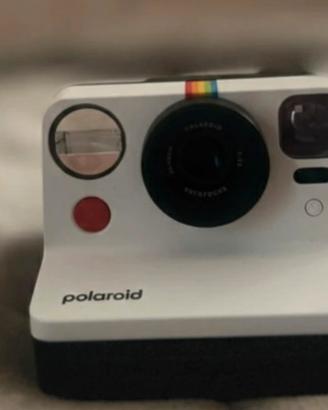 Polaroid