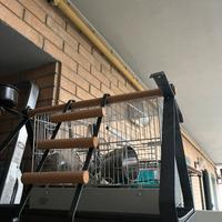 Crespolo per pappagalli piu gabbia per uccellini
