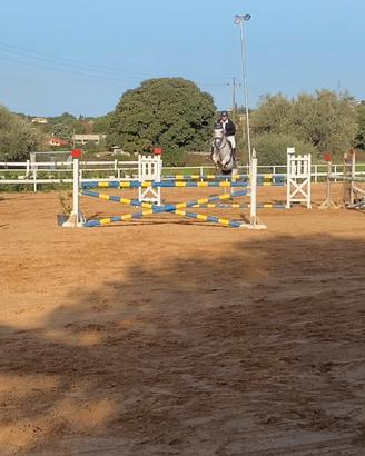 Cavalla da salto