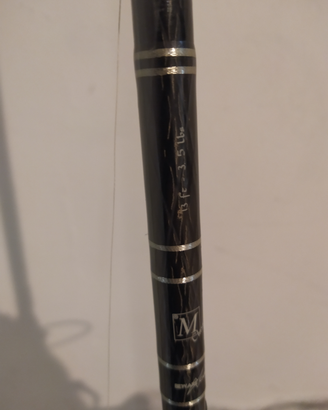 Canna carp fishing con mulinello