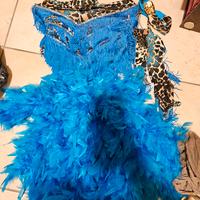 costume di carnevale ballerina