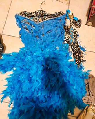 costume di carnevale ballerina