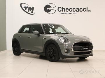 Mini 1.5 One D Hype